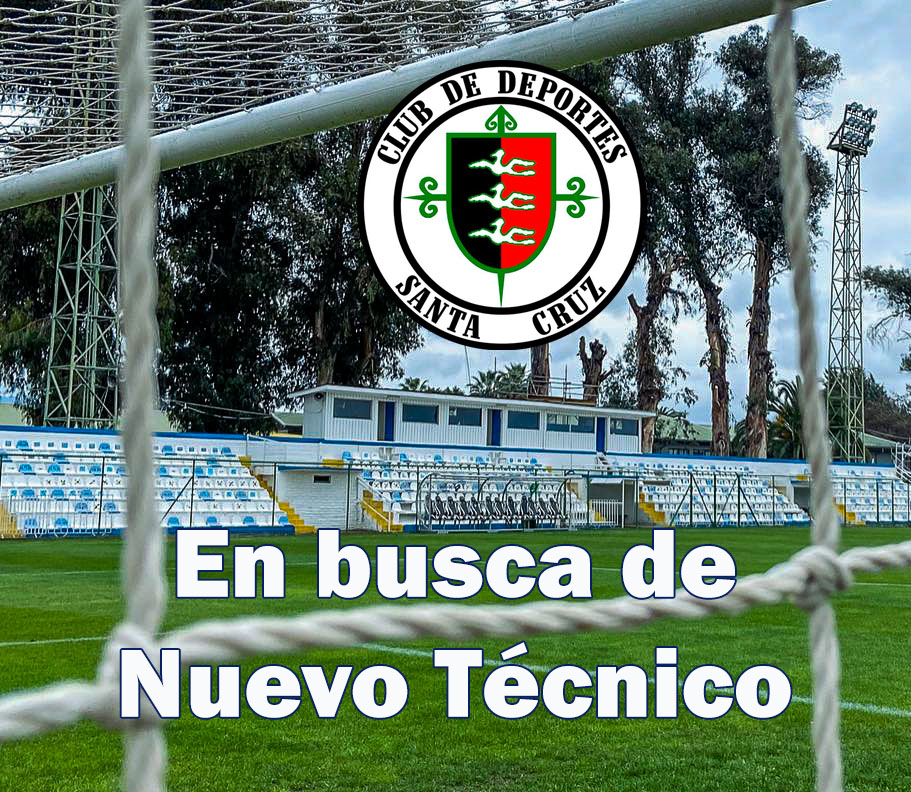 Busca tecnico copia 2